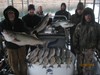 (12/26/2014) - Nice Striped Bass